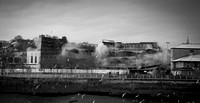 Newport Demolition